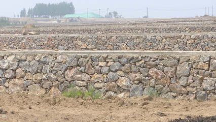 泰安新泰市樓德鎮(zhèn) 土地整理賦能特色產業(yè)，繪就鄉(xiāng)村振興新畫卷
