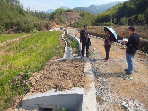 上坪鄉 土地整“活”，房產“開”新局——扎實推進土地整理與房地產開發協同發展